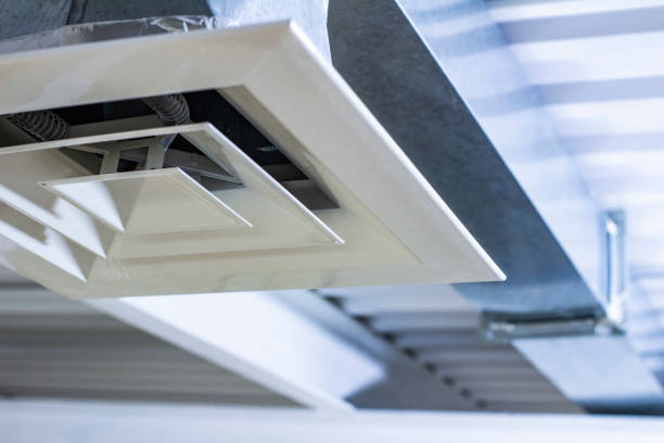 Air Duct Mold Removal in WV