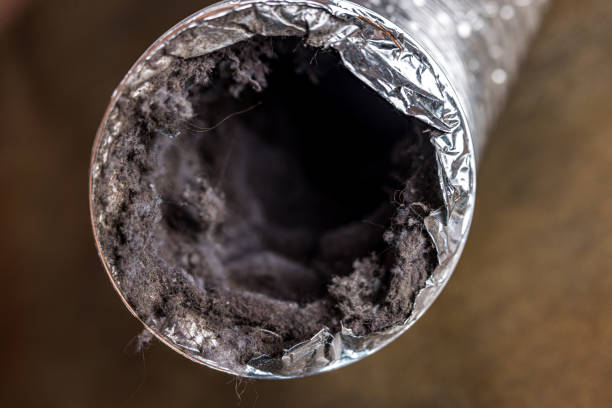 Best Professional Duct Cleaning Services  in Pleasant Valley, WV